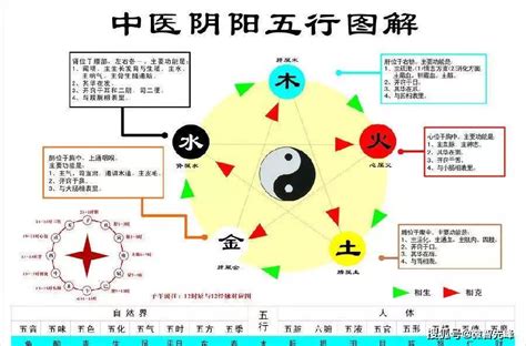 五行運動